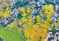 穿越赣鄱大地：江西自驾游全攻略