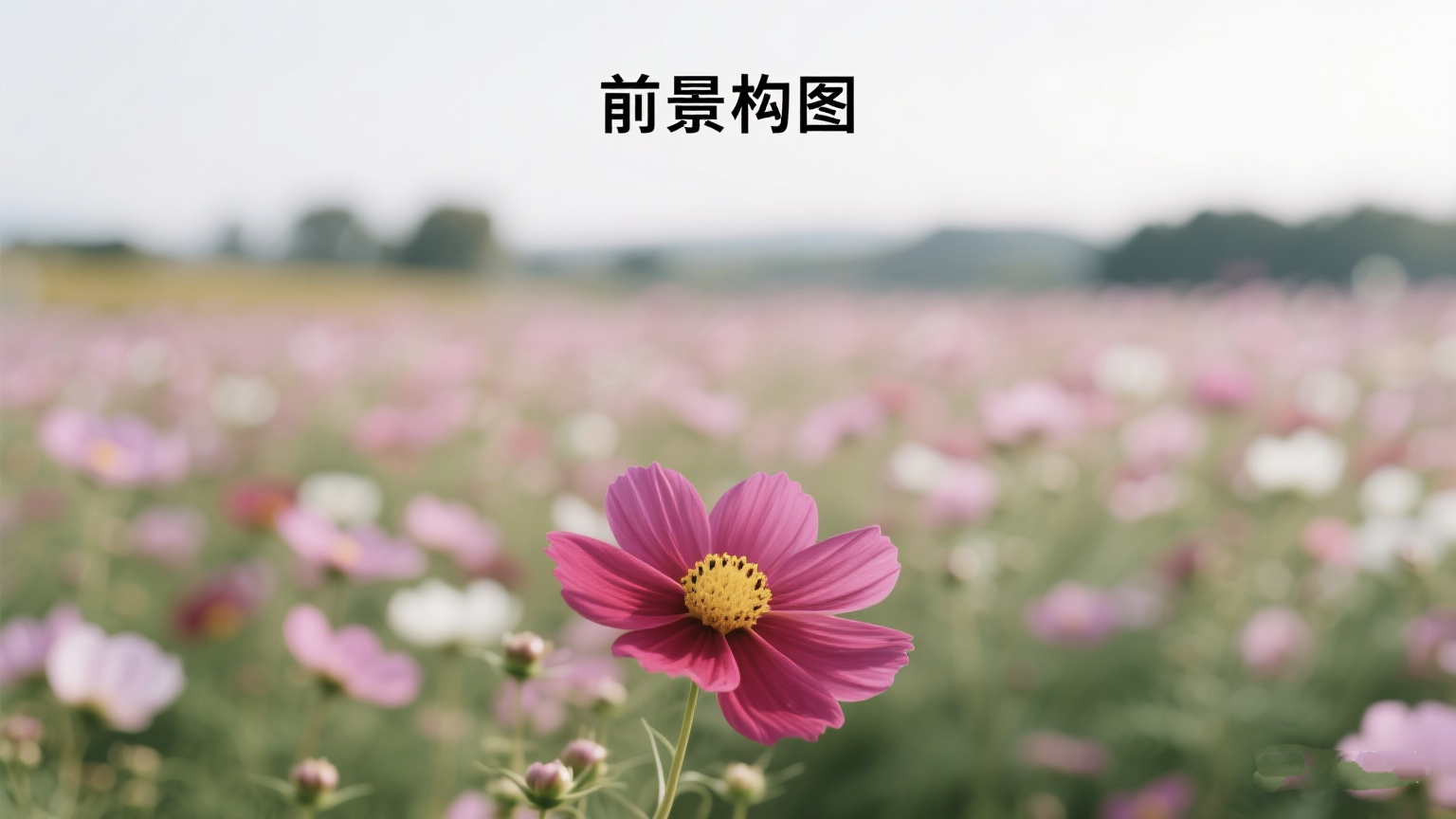 户外摄影拍照设置参数构图模板全解析,1000019583.png,户外,摄影,构图,第13张